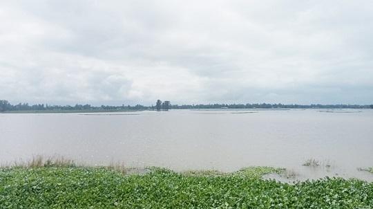 image-here